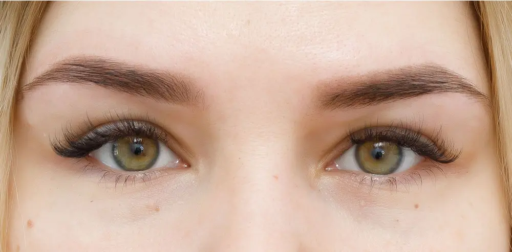 Nachherbild nach Permanent Make-up der Augenbrauen