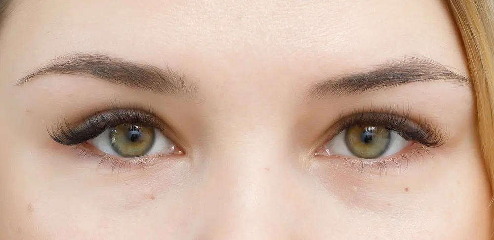 Vorherbild vor Permanent Make-up der Augenbrauen