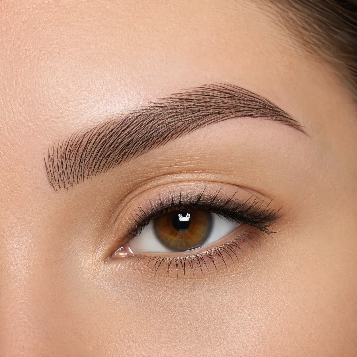 Microblading als Showcard für Permanent Make-up Augenbrauen